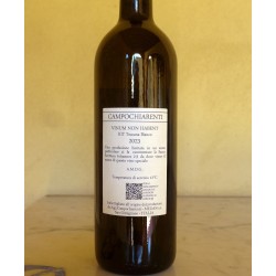 Vinum Non Habent 2023